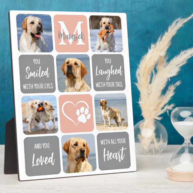 Pet Dog Memorial Custom Modern Colours 6 Photo  Plaque (Creator Uploaded)