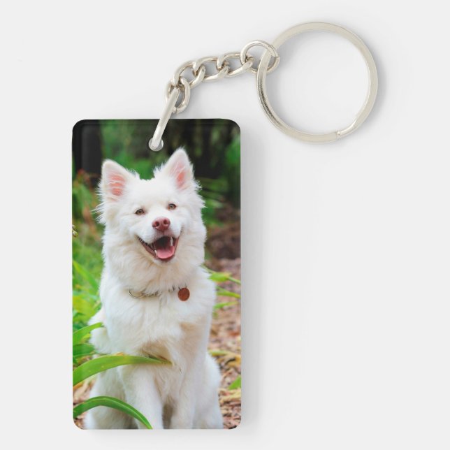 Pet Dog Memorial Sympathy Quote Photo Keychain (Back)