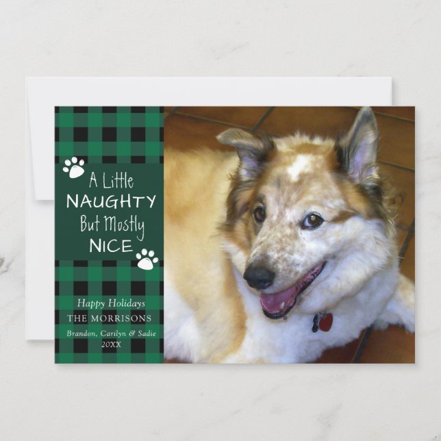 Pet Dog Naughty and Nice Green Black Plaid Holiday Card (Front)