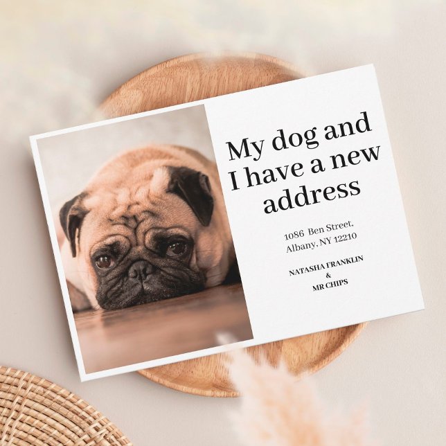 Pet Dog Photo New Address We've Moved Announcement (Creator Uploaded)