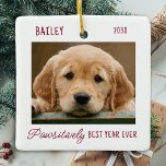 Pet Dog Puppy Personalized 2 Photo Christmas Ceramic Ornament<br><div class="desc">Pawsitively Best Year Ever ! According to the dogs! Decorate your tree or send a special gift with this super cute personalized custom pet photo christmas ornament. This simple and modern dog christmas ornament will be a favorite among all dog lovers. Add your dog's photo and personalize with name and...</div>