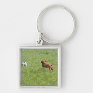 Pet dog running after football in park keychain