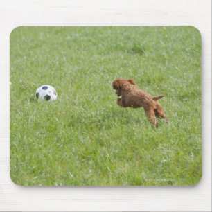 Pet dog running after football in park mouse pad
