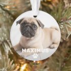 Pet Dog Simple Paw Print Custom Name Photo