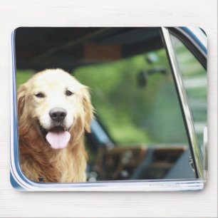 Pet dog sitting in a car mouse pad