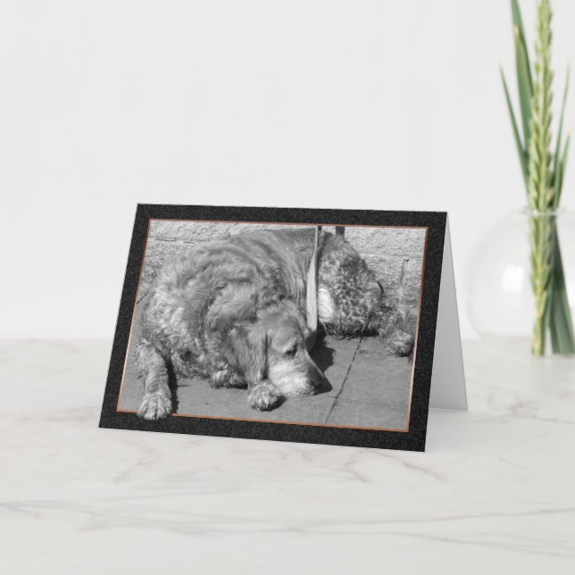 Pet Dog Sympathy Card (Front)