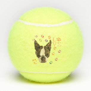 Pet Dog Tennis Balls