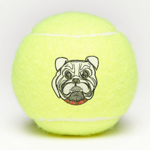 Pet Dog Tennis Balls
