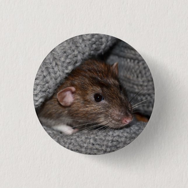 Pet Dumbo Rat Button / Badge (Front)