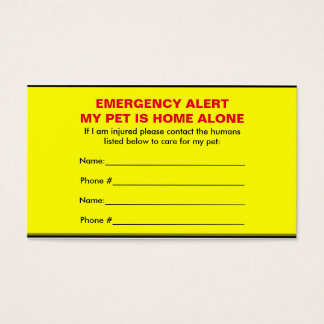 Home Alone Card Template home alone business cards and business card templates Home Alone Card Template home alone business cards and business card templates