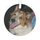 Pet FIRST CHRISTMAS 2 Photo Rouge & Noir Plaid