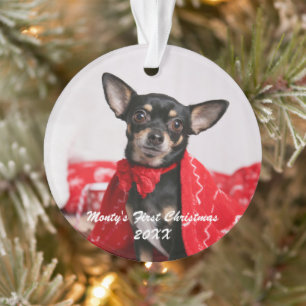 Pet First Christmas Ornament