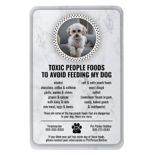 Pet Food Safety Toxic People Foods to Avoid Marble Magnet