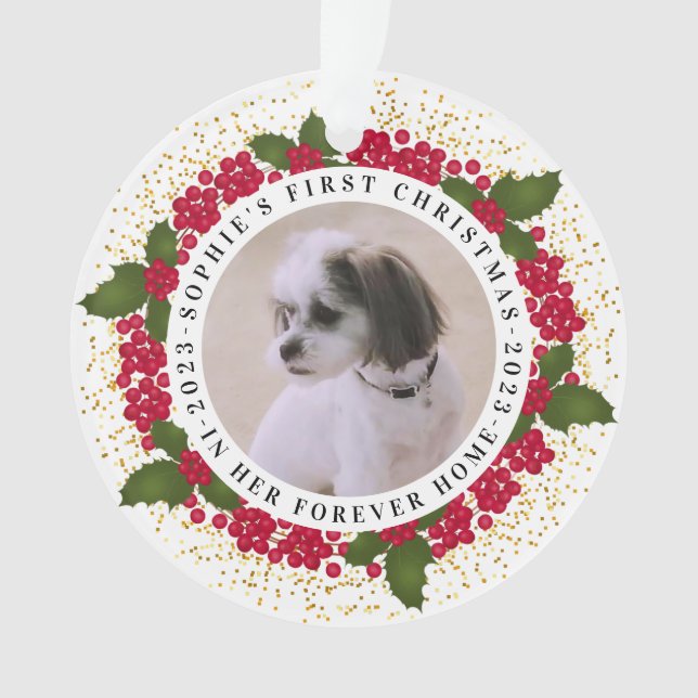 Pet Forever Accueil Premier Noël (devant)