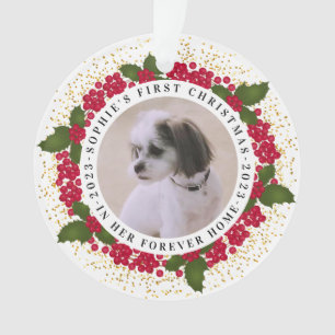 Pet Forever Home First Christmas Ornament