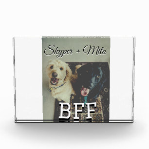 Pet friends besties add name pet photo animal love block