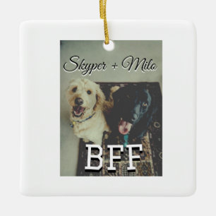 Pet friends besties add name pet photo animal love ceramic ornament