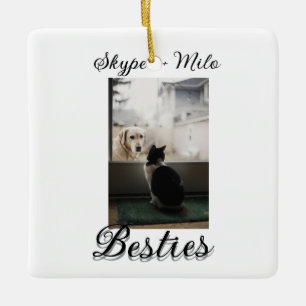 Pet friends besties add name pet photo animal love ceramic ornament