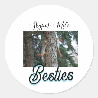 Pet friends besties add name pet photo animal love classic round sticker