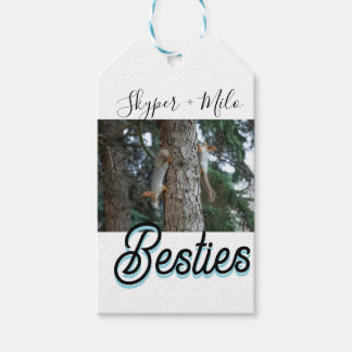 Pet friends besties add name pet photo animal love gift tags