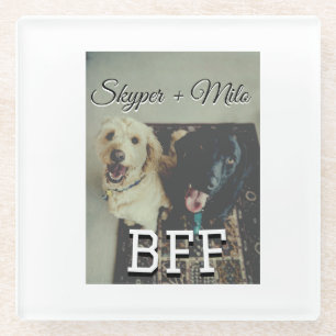 Pet friends besties add name pet photo animal love glass coaster