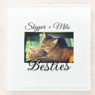 Pet friends besties add name pet photo animal love glass coaster