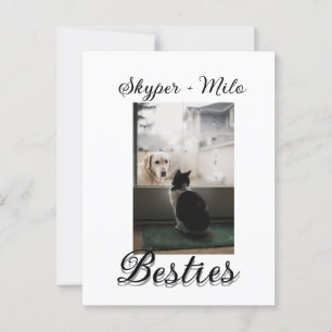 Pet friends besties add name pet photo animal love postcard