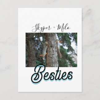 Pet friends besties add name pet photo animal love postcard