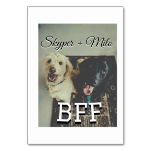 Pet friends besties add name pet photo animal love table number