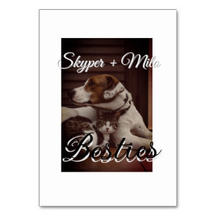 Pet friends besties add name pet photo animal love table number
