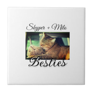 Pet friends besties add name pet photo animal love tile