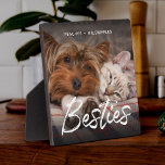 Pet Friends Dog Dad Cat Mom Gift BFF Besties Photo Plaque<br><div class="desc">Do you have pets that are best friends? Celebrate the BESTIES with this modern brush script photo plaque showcasing a favourite photo of your fur babies as well as their names. Easy to customize, this will be a great gift for any cat mom, dog dad, or fan of interspecies love....</div>