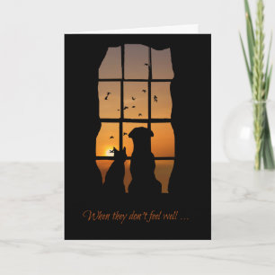 Pet Get Well Card, Get Well Card for Cat or Dog