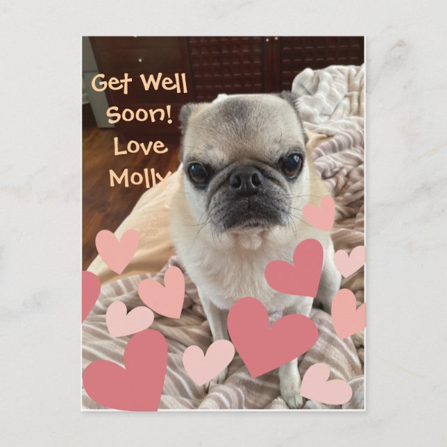 Pet Get Well Soon -Insert Your Pet Postcard (Front)