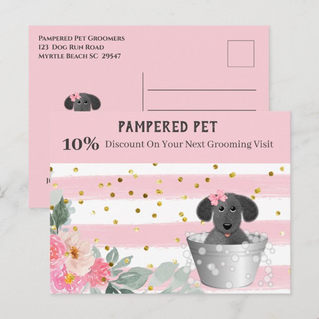 Pet Groomer Puppy in Tub Marketing Postcard (Front/Back)