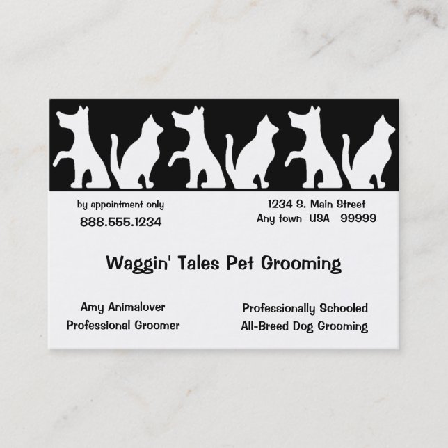 Pet Grooming Business Et Carte De Rendez-Vous (Devant)