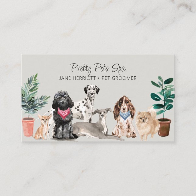 Pet Grooming Pet Spa Business Card (Front)