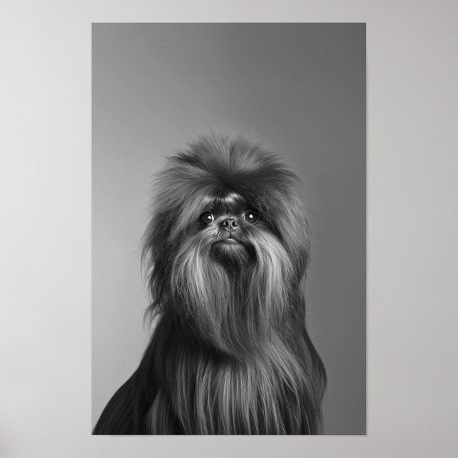 Pet Grooming Salon Boutique Affenpinscher Portrait Poster (Front)