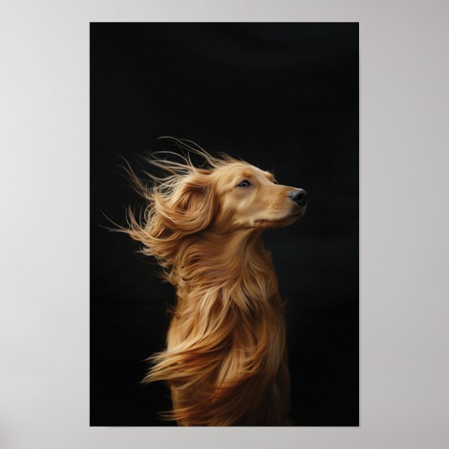 Pet Grooming Salon Boutique Afgan Hound Portrait Poster (Front)