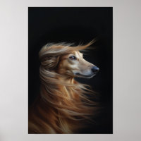 Pet Grooming Salon Boutique Afgan Hound Portrait