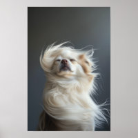 Pet Grooming Salon Boutique Chihuahua Portrait