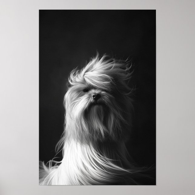 Pet Grooming Salon Boutique Yorkshir Portrait Poster (Front)