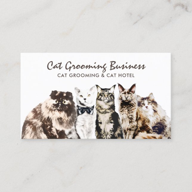 Pet Grooming Salon Spa Cats Business Card (Front)
