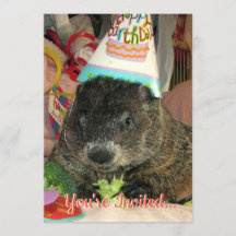 Pet Groundhog Moses Birthday Invitation