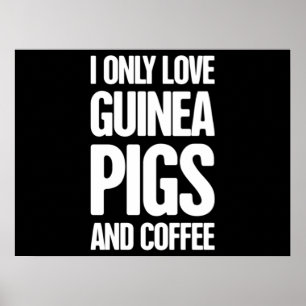 Pet Guinea Pig Guinea Pig Owner Poster
