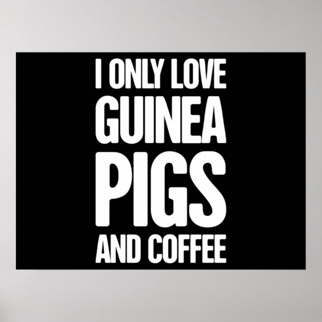Pet Guinea Pig Guinea Pig Owner Poster (Front)
