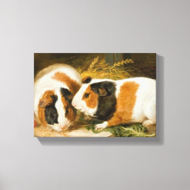 Pet Guinea Pigs Feeding (by James Ward) Canvas Print (Front)