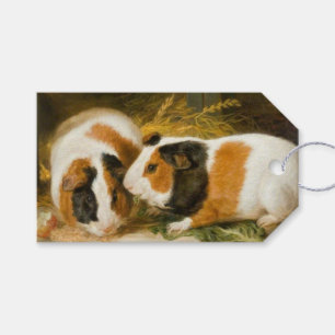 Pet Guinea Pigs Feeding (by James Ward) Gift Tags