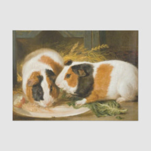 Pet Guinea Pigs Feeding (by James Ward) Tissue Paper