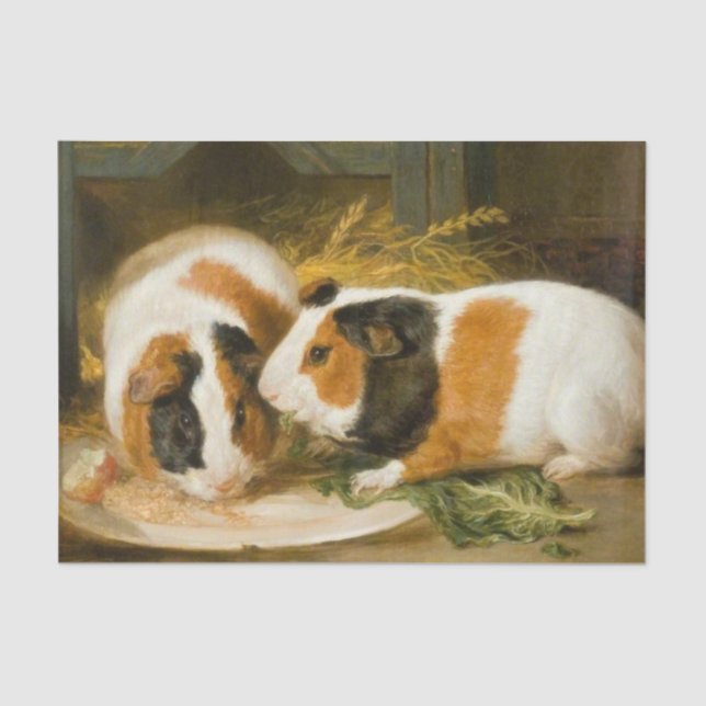 Pet Guinea Pigs Feeding (by James Ward) Tissue Paper (Front)